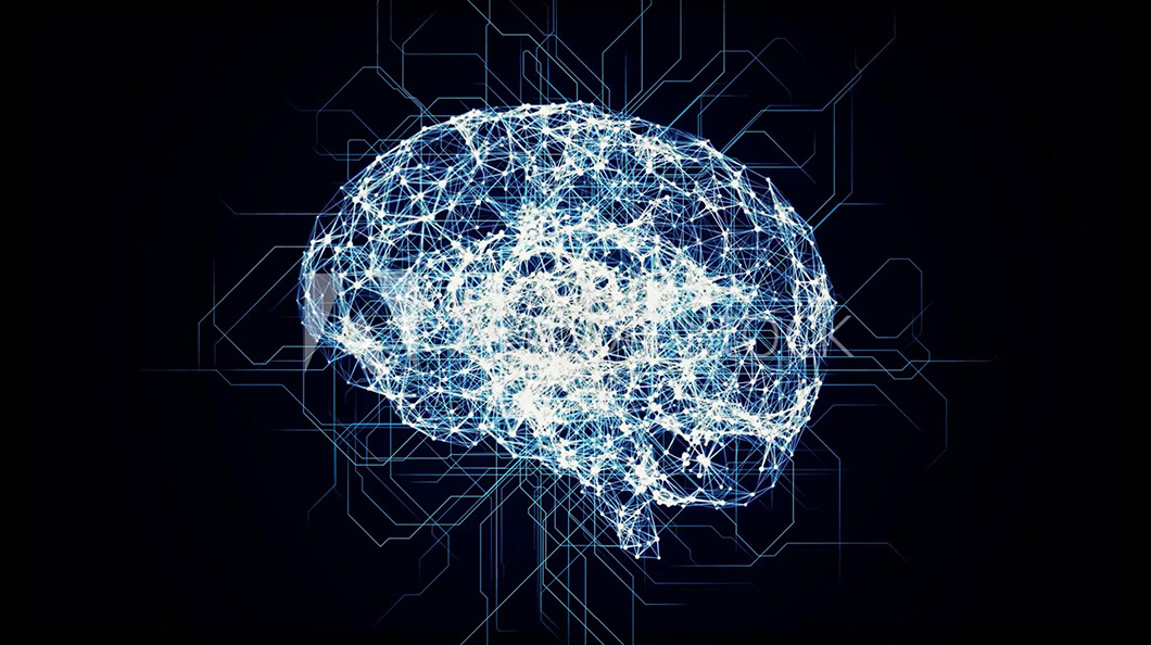 動画を再生できません