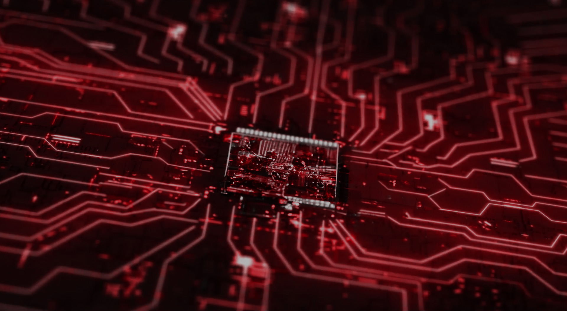 動画を再生できません